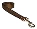 Large Brown Nylon Webbing Dog Leash: 1