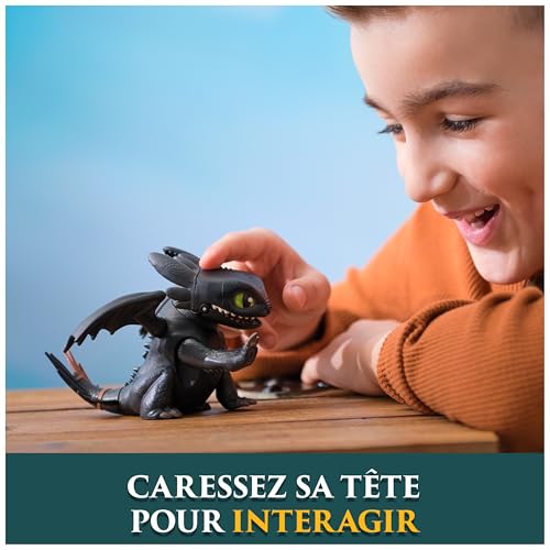 SPIN MASTER MINI DRAGON INTERACTIF KROKMOU Dragons Movie - vue 6