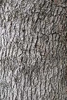 Oak Bark White Cut&Sifted - Wildcrafted - Quercus alba (454g = One Pound) Brand: Herbies Herbs