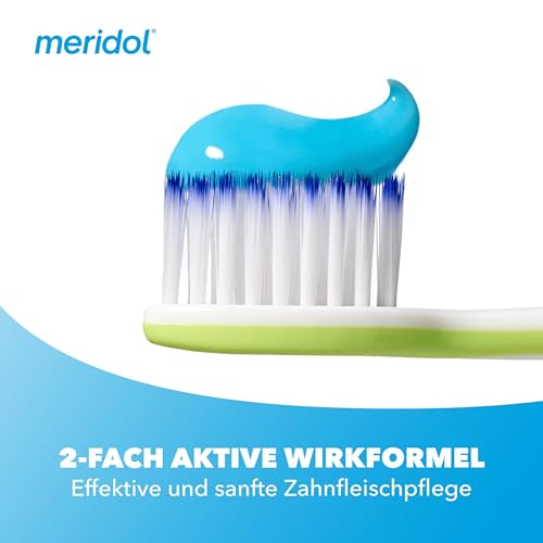meridol Zahnpasta Parodont Expert 75 ml - Zahncreme wirkt antibakteriell und unterstützt so den natürlichen Heilungsprozess des Zahnfleisch