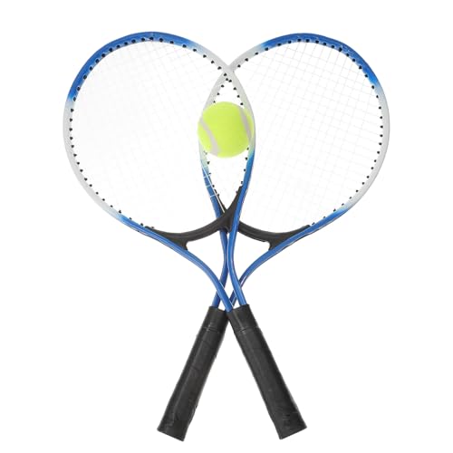 ミニ テニスラケット」の人気商品一覧 | 安い商品を通販サイトから探す