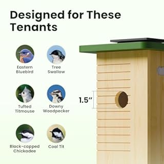 Birdfy Smart Bird House with Camera Solar Powered, 1080HD Live Video & Night Vision for 24/7 Nesting Recording, Auto Detect & Notify, Ideal Nature Gift for Bird Lovers, AI Identify Lifetime Free