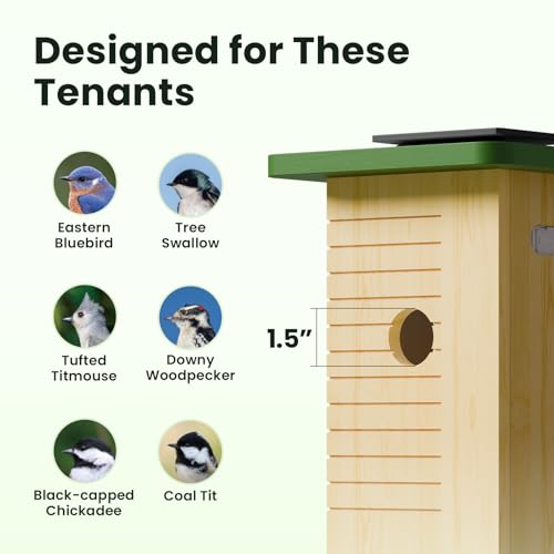image for Birdfy Smart Bird House with Camera Solar Powered, 1080HD Live Video &