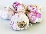 Kejora Fresh 100% ORGANIC Purple Garlic For Planting or Cooking USDA Certificated (2)