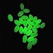 FUSIGO Fishing Glow Beads Assorted, 100pcs Luminous Fishing Beads Oval Plastic Beads Glow in Dark Fish Attractants Beads for Rigging Tackle (100pcs White)