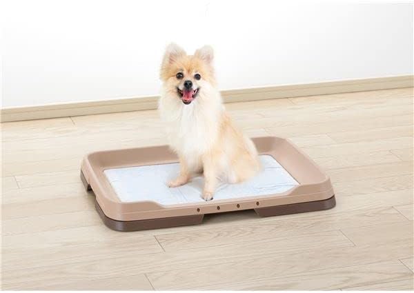 （まとめ）お掃除簡単ステップトレー レギュラー ダークブラウン (ペット用品) (&times;2セット） top1-ds-2275819 [独