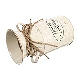 Design européen élégant : Ce pot à lait rétro en forme de pot de fleurs apporte une touche charmante et originale à votre décoration intérieure, mettant en valeur vos fleurs préférées avec style délicat et vintage.