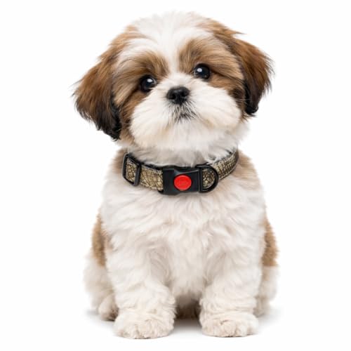 Image of Emily Pets Dog Collar with Safety Locking Buckle, Adjustable Soft Breathable Comfortable Nylon Pet Collar for Small, Medium Dog & Puppy (Color May Vary)