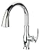 Jewel Faucet 25591-82 Single Hole Kitchen Faucet and Pull-Down Spray Head44; Brushed Gold Designer Finish