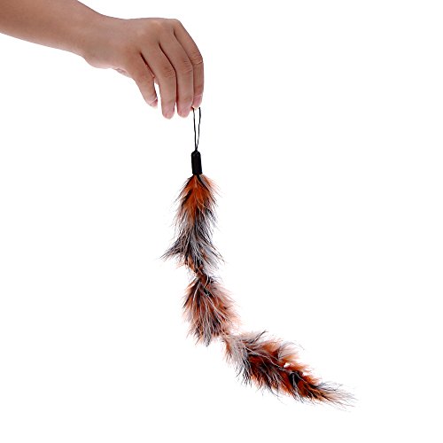 Baugger - 9PCS luxo colorido Kitten Natural longa pena Pet Cat Teaser Design Bonito substituição Ref