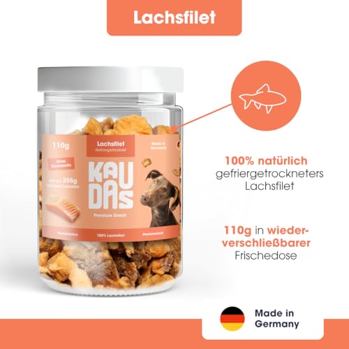 KAUDAS LachsPur Natursnack – 5 x 50 g gefriergetrocknetes Lachs Leckerli Hund mit hohem Proteingehalt & Omega-3, 100% natürlicher Hundesnack 550 g Rohgewicht – ohne Zucker, Getreide & Zusatzstoffe