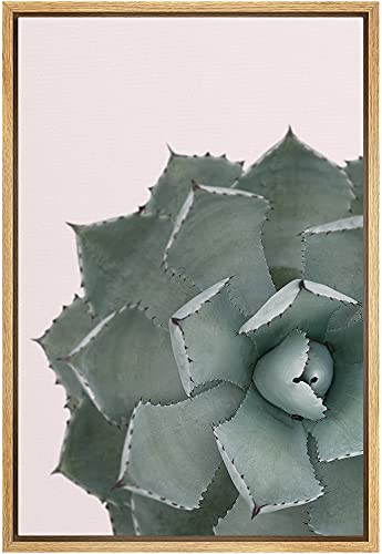 SIGNLEADER Framed Canvas Print Wall Art Stonecrop Spiked Succulent Botanical Flower Photography Modern Art Glam Closeup Colorful Multicolor Ultra for Living Room, Bedroom, Office - 24