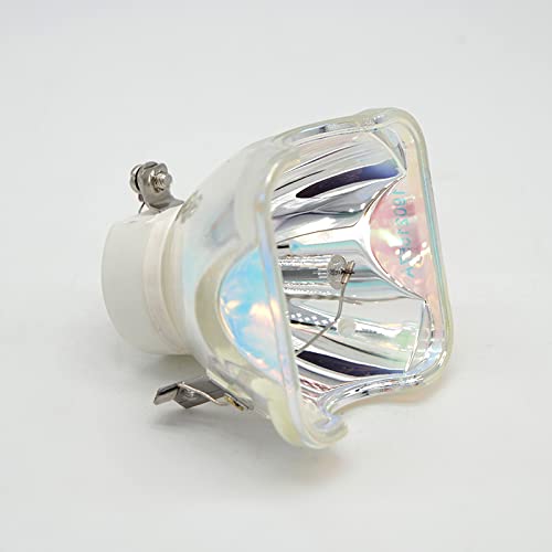 SeiZed Replacement NP05LP Projector Lamp for NEC NP901 NP905 VT700 VT800 NP901W NP905G NP901WG VT800G VT700G Lamp