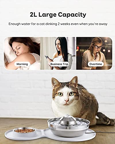 Fuente dispensadora de agua para mascotas 2 en 1 acero inoxidable miniatura 7