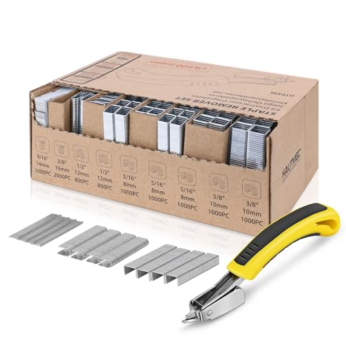 Agrafes robustes HAUTMEC assorties avec extracteur pour un emballage et une fixation sans effort