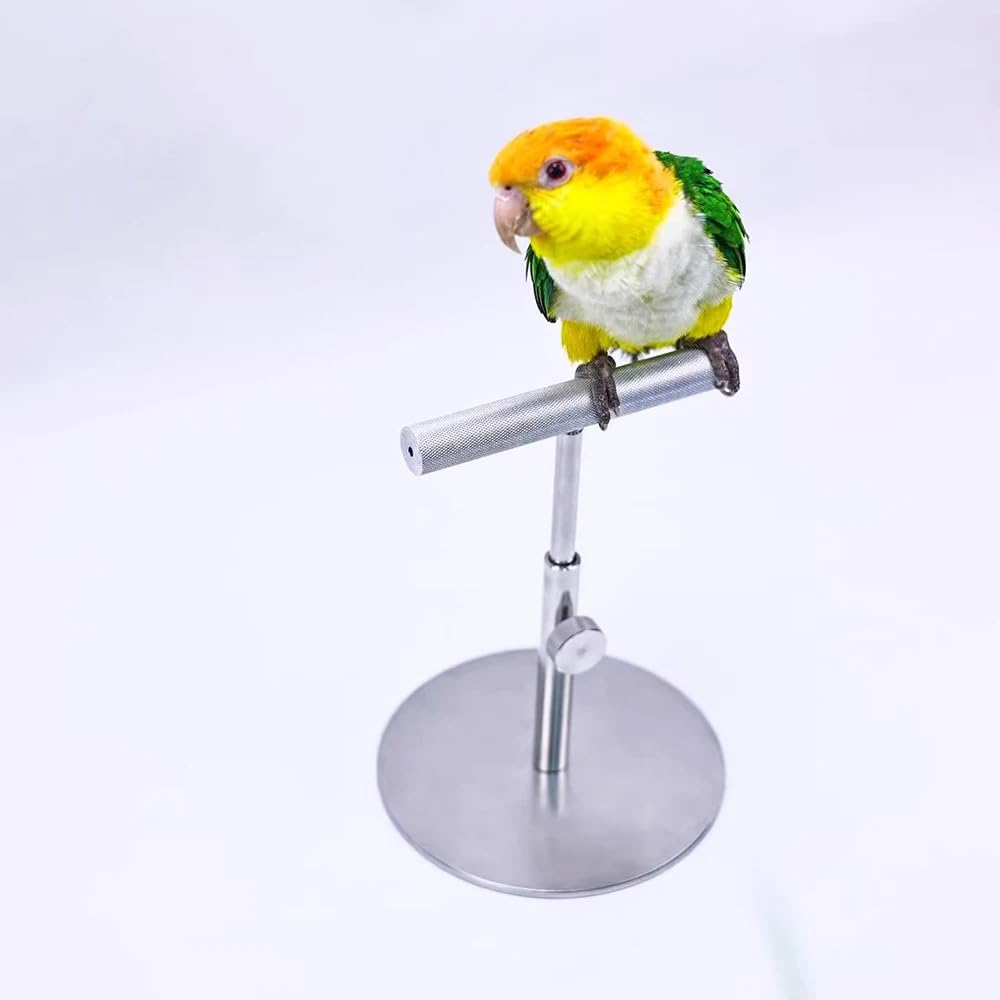 Toplionace Soporte de Escritorio para Loros, Percha de Entrenamiento Totalmente Metálica para Aves.