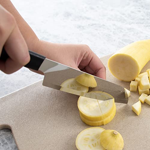 Rada Cutlery Cook’s Knife – Stainless Steel Blade And Black Steel Resin Handle Made In Usa, 10-7/8 Inches #TOP4