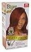 Bigen Easy Color #4RC Cinnamon Spice 2.82 Ounce (2 Pack)