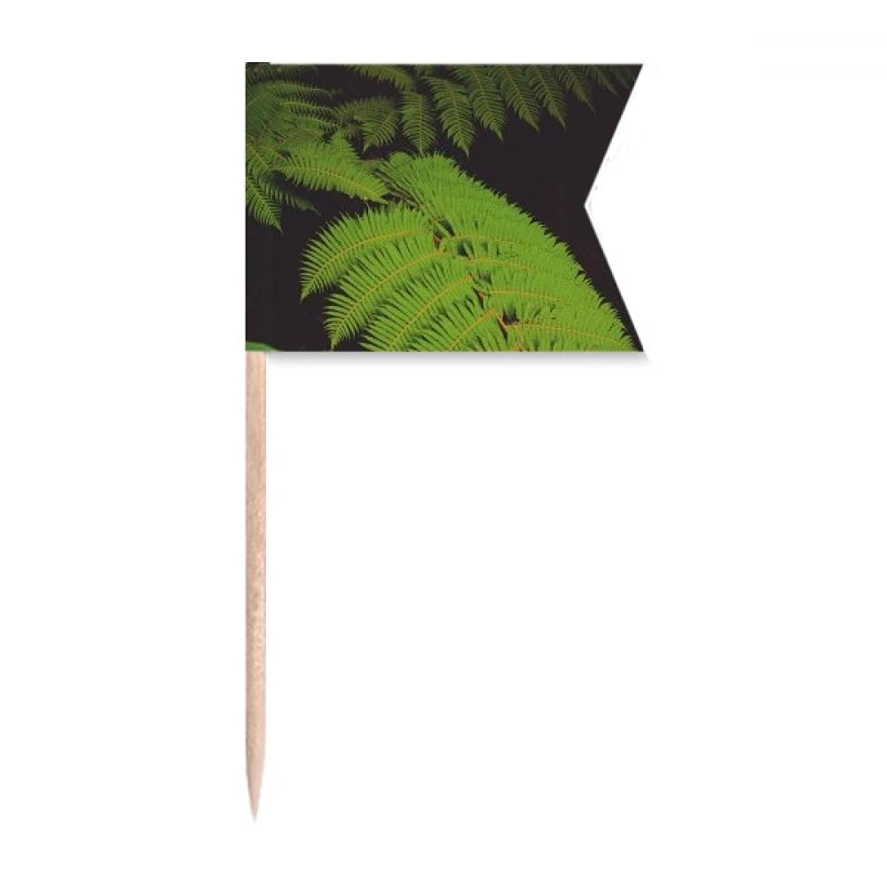 Photo de plantes vertes pour gâteau de fête et plaque de fromage