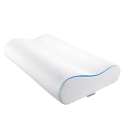 Top 10 Best Foam Pillows in 2021 Memory Foam Pillows