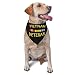 Vietnam Veteran Triangle Dog Bandana Scarf Accessories for Pet Bibs