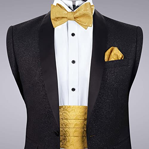 Image of Alizeal Mens Paisley Adjustable Bow Tie Set