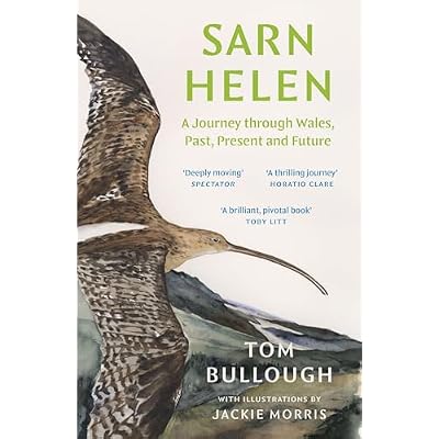 Sarn Helen