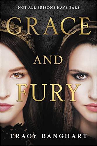 Cover of Grace and fury