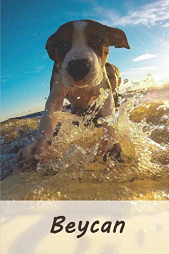 Beycan: Tagebuch / Journal Personalisiertes Notizbuch Beycan - individuelles Namensbuch mit Hunde Motiv | DIN A5 100 Seiten | liniert