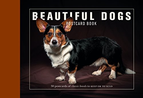 Beautiful Dogs Postcard Book
