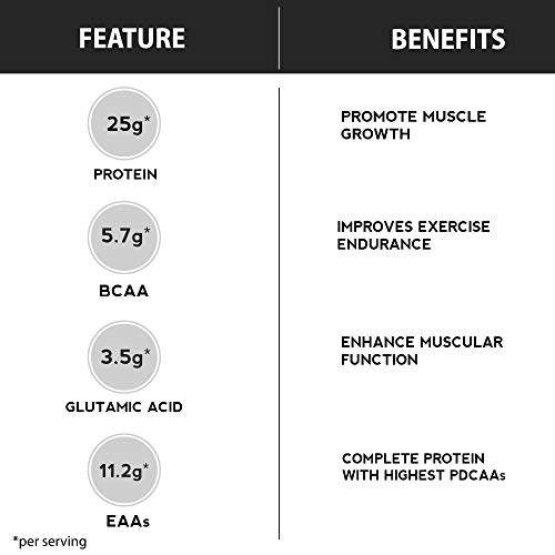 Image of Six Pack Nutrition 100% Whey Protein Powder - 1 kg / 2.2lbs (Masala Milk)