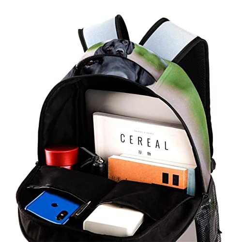Mochila para perro multifuncional y escolar universitaria de gran capacidad 4