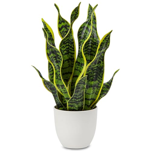 Hollyone Artificial Snake Plant Potted Faux Sansevieria Trifasciata Plants, 16.5" Tropical Fake Snake Plants in White Pots for Home Office Room Indoor Decor Housewarming Gifts