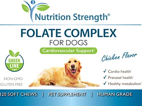 Nutrition Strength Folate For Dogs To Promote Cardiovascular & Prenatal Health, Support Dna Synthesis & Cell Maintenance, Folic Acid For Dogs With Zinc, Biotin, Iron & Vitamin B12, 120 Soft Chews #TOP5