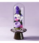 Amazon | Makefuture 紫苑 M プリザーブドフラワー 仏花 ガラスドーム