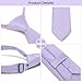 Puistr Boys Lavender Tie Pre-tied Adjustable Kids Solid Color Necktie for Age 8-12 Years Wedding School Graduation with Gift Box