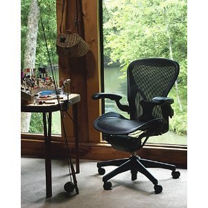 Aeron Chair by Herman Miller with PostureFit, Highly Adjustable C...
