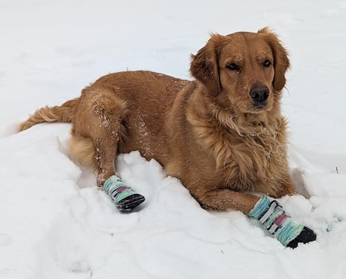 All Weather Neoprene Paw Protector Dog Boots with Reflective Straps in 5 Sizes! (Turquoise Medium)