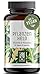 PFLANZENHELD Vegan Multivitamin Kapseln - Einführungspreis - 120 Kapseln für Veganer und Vegetarier - Daily Vitamins mit B12, Eisen, Zink, Calcium, Magnesium & Vitamin A - Hergestellt in Deutschland