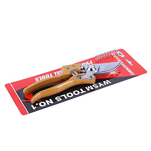 Best Zhen Kitchen Shears