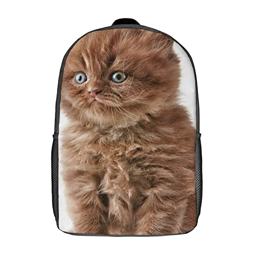 Sac à dos chat imprimé 3D idéal pour les sorties de loisirs et le voyage des enfants