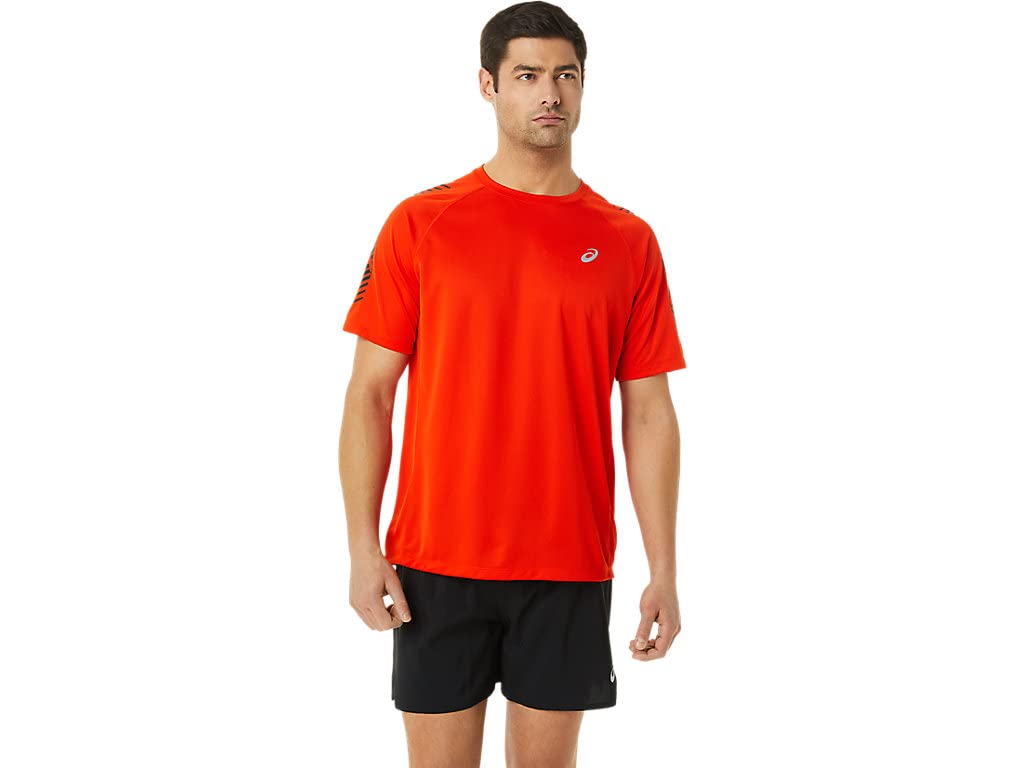ASICS Men's Icon Ss Top
