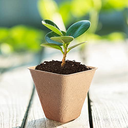 Jumlaner 120 Packs Peat Pots Seed Starter Pots Biodegradable Eco-Friendly Organic Plant Seed Starting Pots Garden Germination Nursery Pot For Seedlings With Plant Labels 3 Inch Square #TOP5