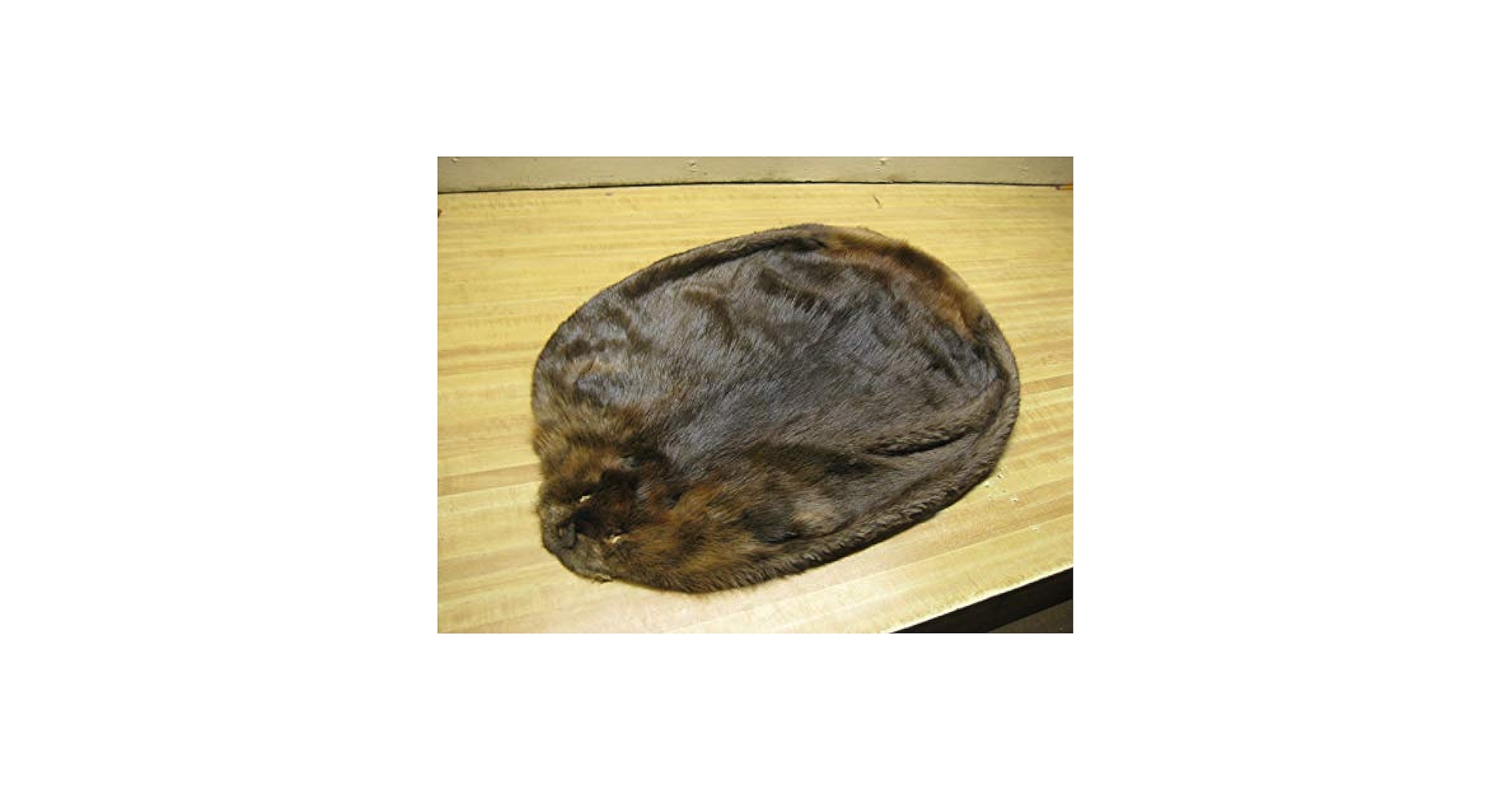 ★SALE★【レア】hide with Spread Beaver ロンT Amazon.com: TruBlu Supply Real Tanned Braintan Deer Suede
