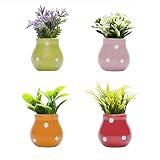 Plant Magnets,Cute Plant Fridge Magnets Flower Decorative Magnets with Ceramic Vase Fun Refrigerator