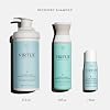 VIRTUE Recovery Sulfate Free Shampoo with Keratin and Baobab Seed Oil for Damaged Hair, Color Safe