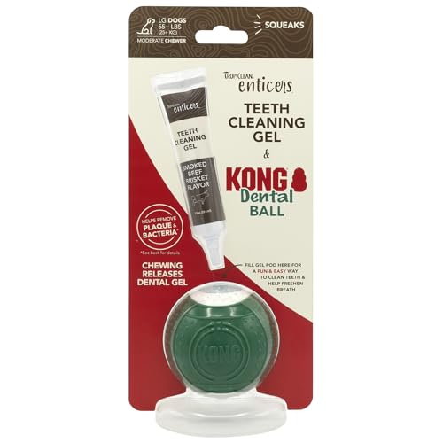 Image of TropiClean Enticers Kong Dental Ball Kit for Large Dogs | Teeth Cleaning Gel | Smoked Beef Brisket Flavor | 1 oz.