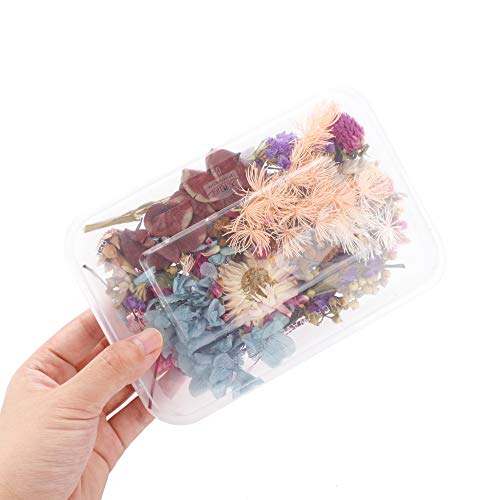 4 caixas de flores secas, plantas secas para velas de aromaterapia, flores prensadas, kits de folhas
