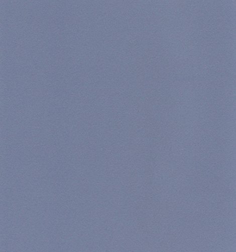 エスケント ケント紙 スターカラー 八切 レイン 100枚 5763008