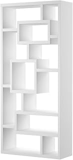 Furniture of America Hazo Modern Wood Open-Back Bookcase in White